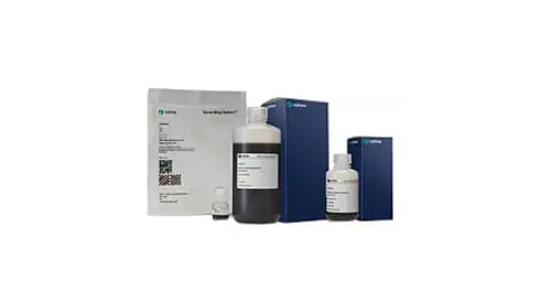DNA Extraction and Purification