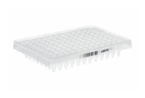 25360_Merch_P2_Product2