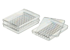 Cell Culture Dishes