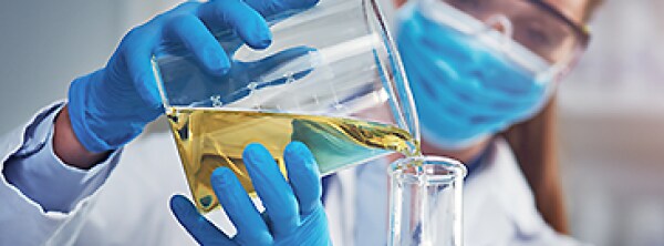 Melford Top Category 5