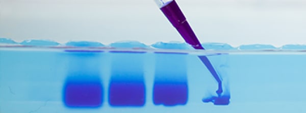 Labcon Eclipse Pipette Tips