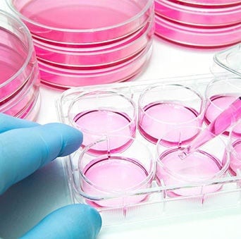 Cell Culture Media