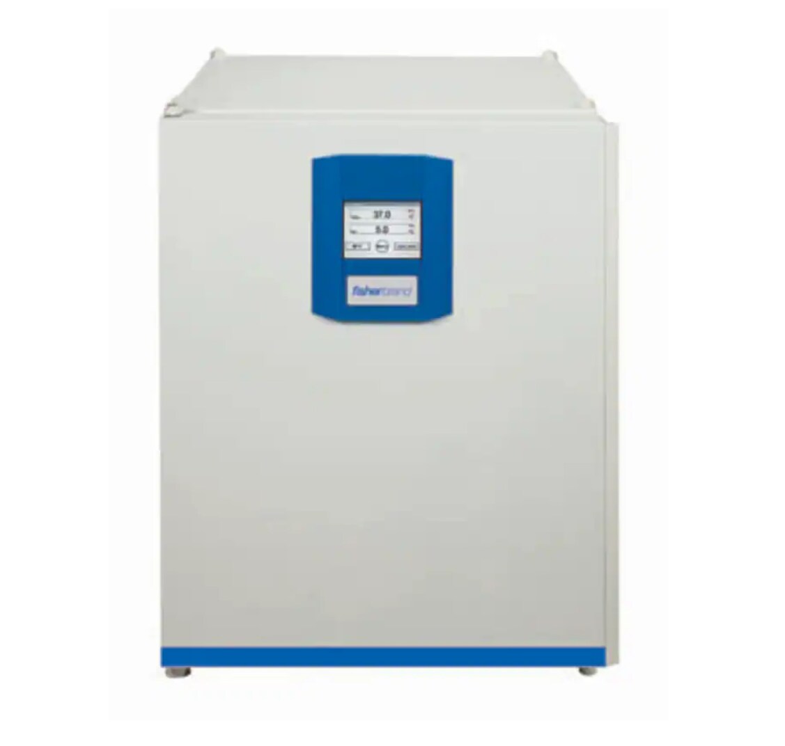 Fisherbrand™ Isotemp™ CO2 Incubator, 150 L, Stainless Steel