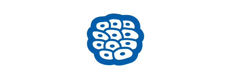 Preserve Cell Integrity at Every Step