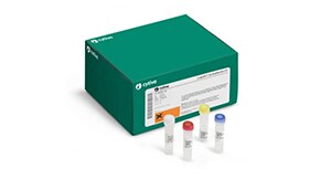 TempliPhi Amplification Kit