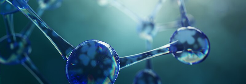 Molecular Biology Methods