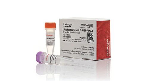 Transfection Reagents