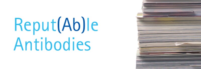 MilliporeSigma Antibodies Flier