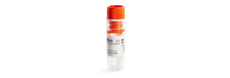 Gibco™ Viral Production Cells 2.0
