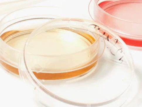 Cell culture life sciences