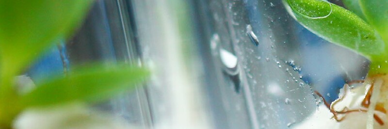 Biotech Staples for Education Product List