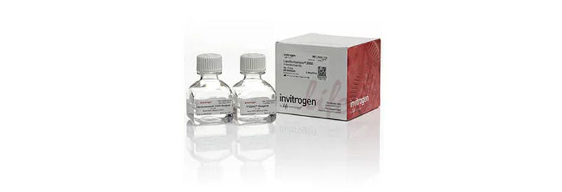 Invitrogen™ Lipofectamine™ 3000 Transfection Reagent