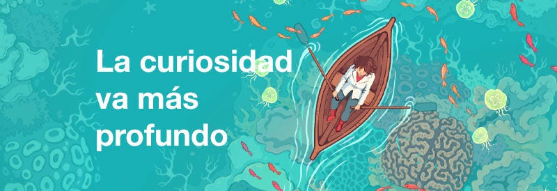 La curiosidad va más profundo