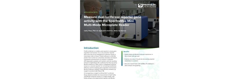 Measure Dual-Luciferase Reporter Gene Activity