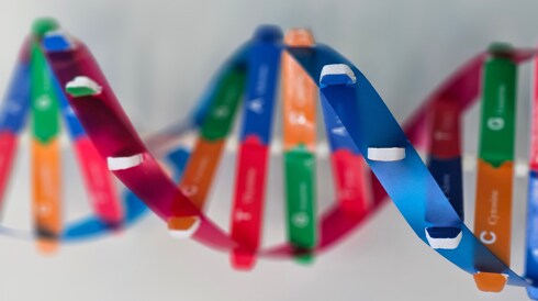 Biotechnology Resources for Education