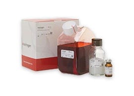 General Cell Based Assays