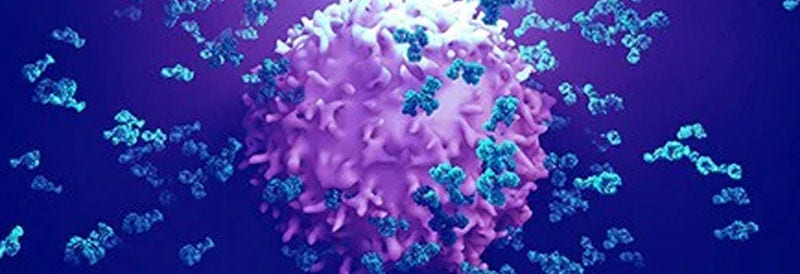 mAbs Solutions Platform