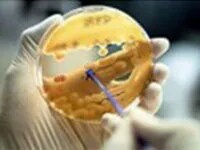 22688 - Partnerships-image1