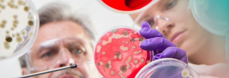 Prepared Media Guide