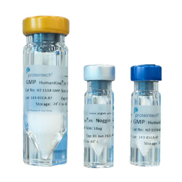 KingFisher PlasmidPro Maxi Processor