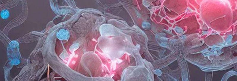 Your Partners in Cancer Research