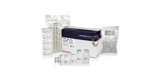 DNA Extraction and Purification