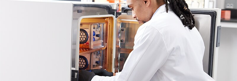 Cell Culture