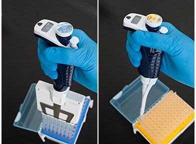 11963_MainIMG 11963_MainIMG