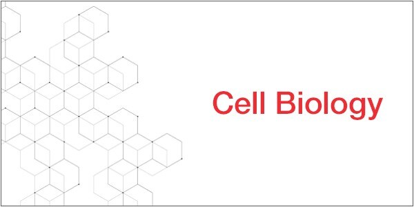 Cell Biology