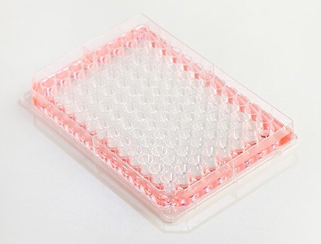 Thermo_Scientific_Nunc_Edge Thermo_Scientific_Nunc_Edge