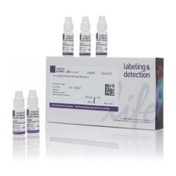 q2-results-cell-culture-workflow-solutions-fluorescent-product-95872 Invitrogen Molecular Probes product buy