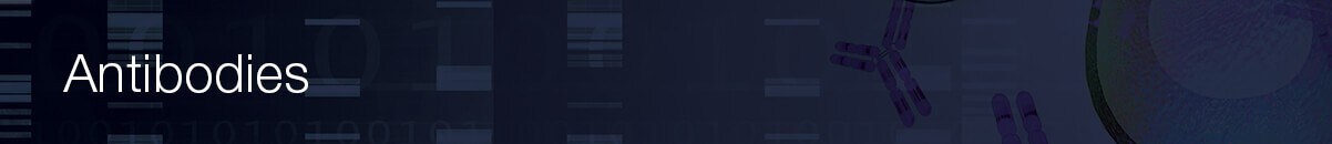 q2-results-cell-culture-workflow-solutions-antibodies-95872 q2-results-cell-culture-workflow-solutions-antibodies-95872