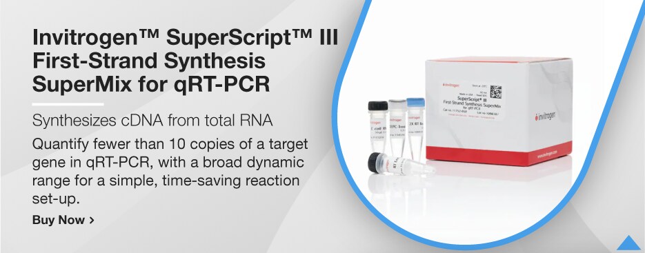 Invitrogen™ SuperScript™ III First-Strand Synthesis SuperMix for qRT-PCR Invitrogen™ SuperScript™ III First-Strand Synthesis SuperMix for qRT-PCR