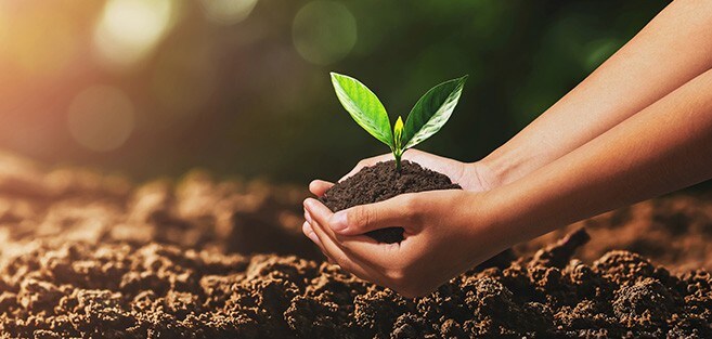 18811_green Green Solutions