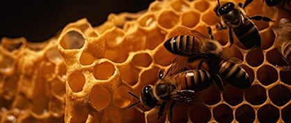 Addressing the Pollinator Shortage