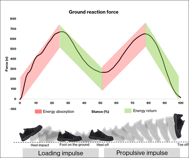 Figure 1. Typical Walking Vertical Ground Reaction Force Curve From Heel Strike to Toe-Off