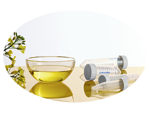 Eppendorf Tubes Biobased