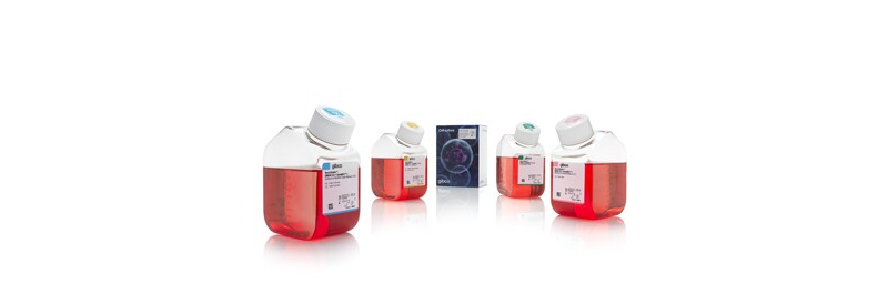 Gibco™ BenchStable™ Cell Culture Media: Go Green by Reducing Laboratory Cold Storage Needs