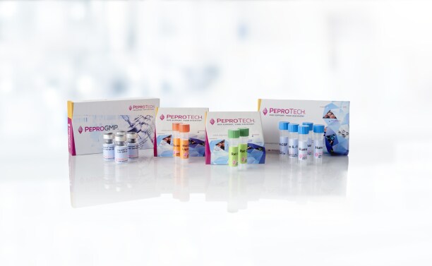 25242_Product_Showcase_Application_img_2